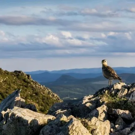 Сasa de vacaciones Maison En Pierres Avec Terrain Pres Du Massif Du Mezenc, Ideale Pour Un Sejour Nature En Famille - Fr-1-582-267 Saint-Front (Haute-Loire)