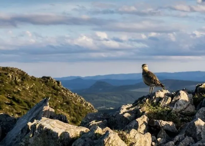 Сasa de vacaciones Maison En Pierres Avec Terrain Pres Du Massif Du Mezenc, Ideale Pour Un Sejour Nature En Famille - Fr-1-582-267 Saint-Front (Haute-Loire)